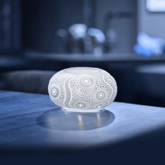 Diffuseur d'huiles essentielle Hivernage